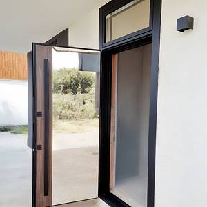 Остекленная современная дверь