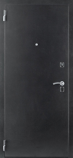 Дверь с порошковым напылением ДП-43